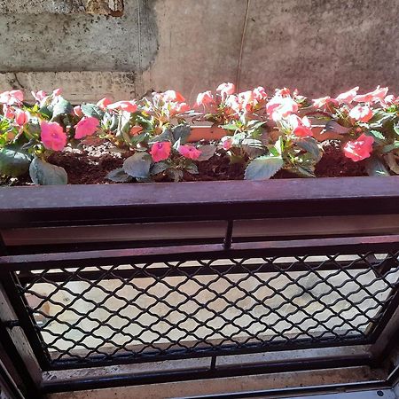 Apartament Viccinella House Capranica Zewnętrze zdjęcie